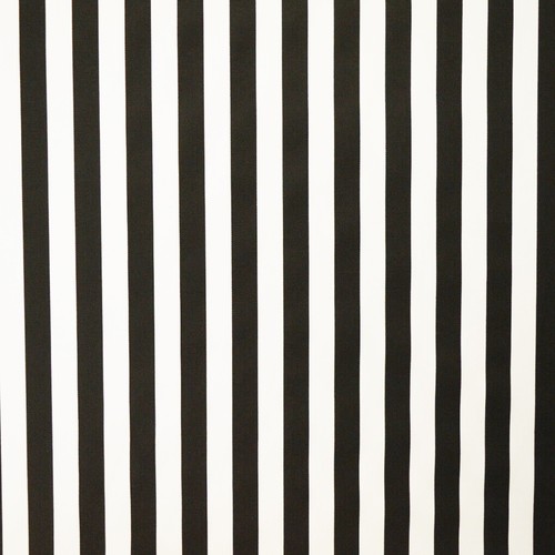 Black white beetle juice - beetle,